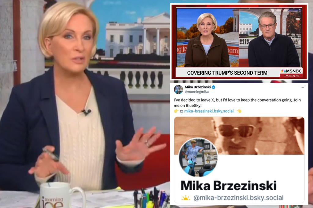 MSNBC 'Morning Joe' co-host Mika Brzezinski quits X after meeting Trump with Joe Scarborough